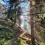 Διαμέρισμα Andrea 7 By Smr Close To Gondola *