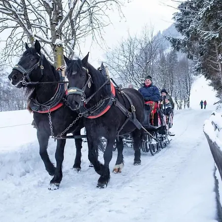 Andrea 7 By Smr Close To Gondola * راوريس