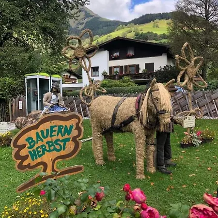 Andrea 7 By Smr Close To Gondola *